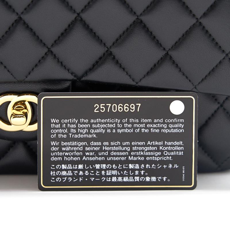 Chanel Classic Medium Double Flap Lambskin with
