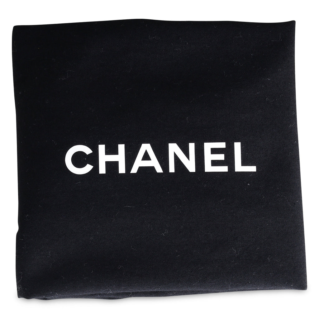 Chanel 19 Hobo Bag