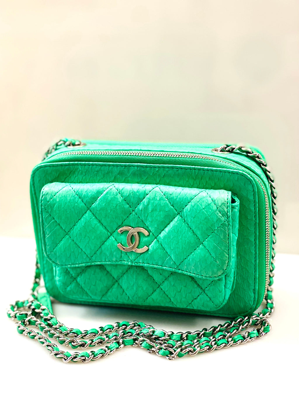 CHANEL DOUBLE ZIP SNAKESKIN EMBOSSED LEATHER SMALL CAMERA BAG
