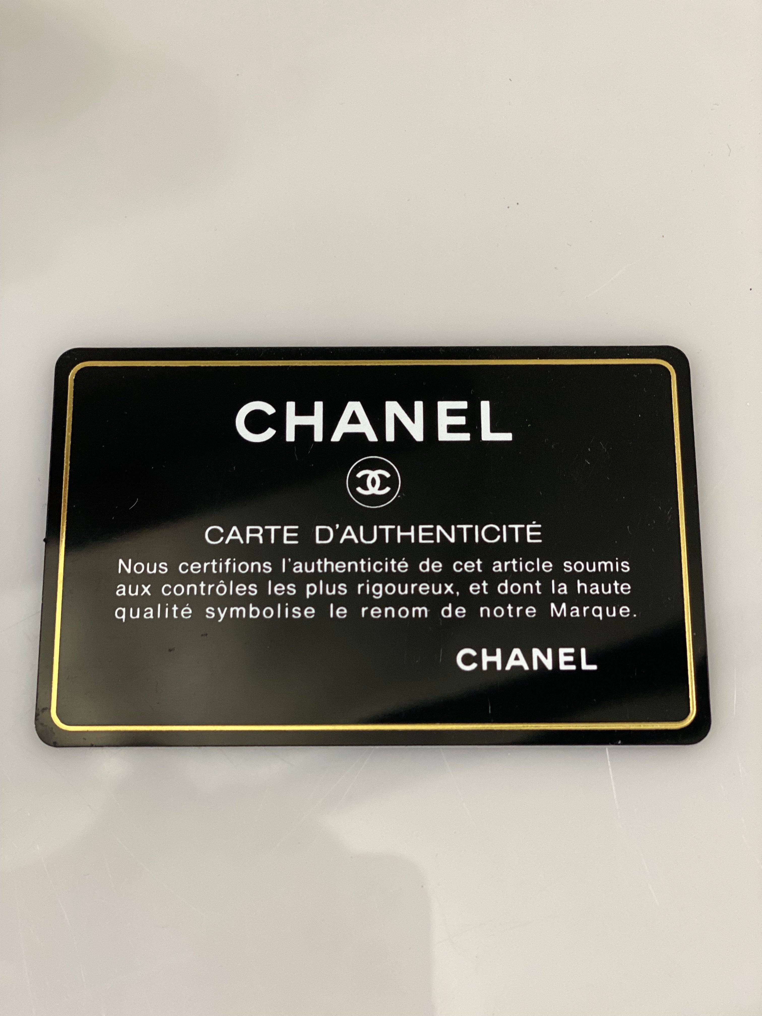 CHANEL DOUBLE ZIP SNAKESKIN EMBOSSED LEATHER SMALL CAMERA BAG