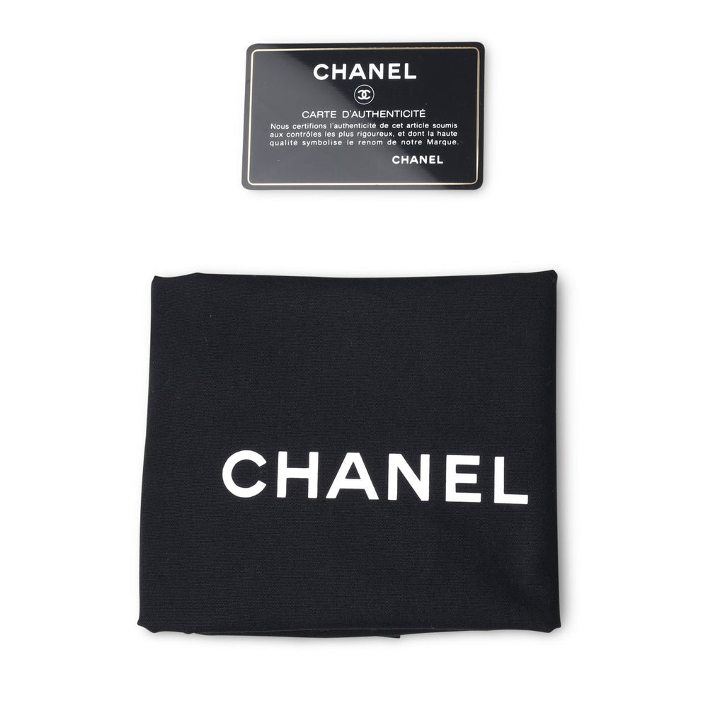 Chanel Classic Flap Bag - Mini Rectangular