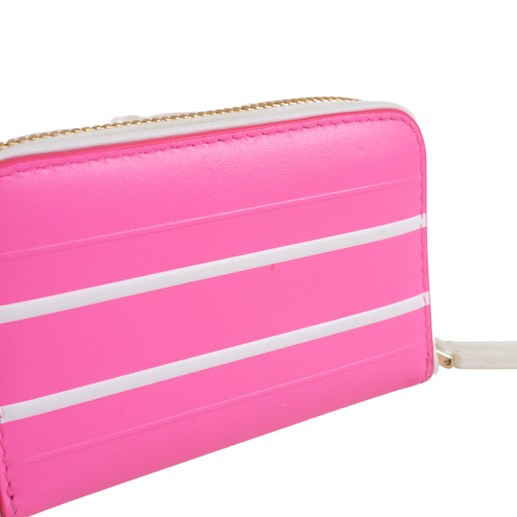 Christian Dior 'Vibe Voyageur' Zip Wallet