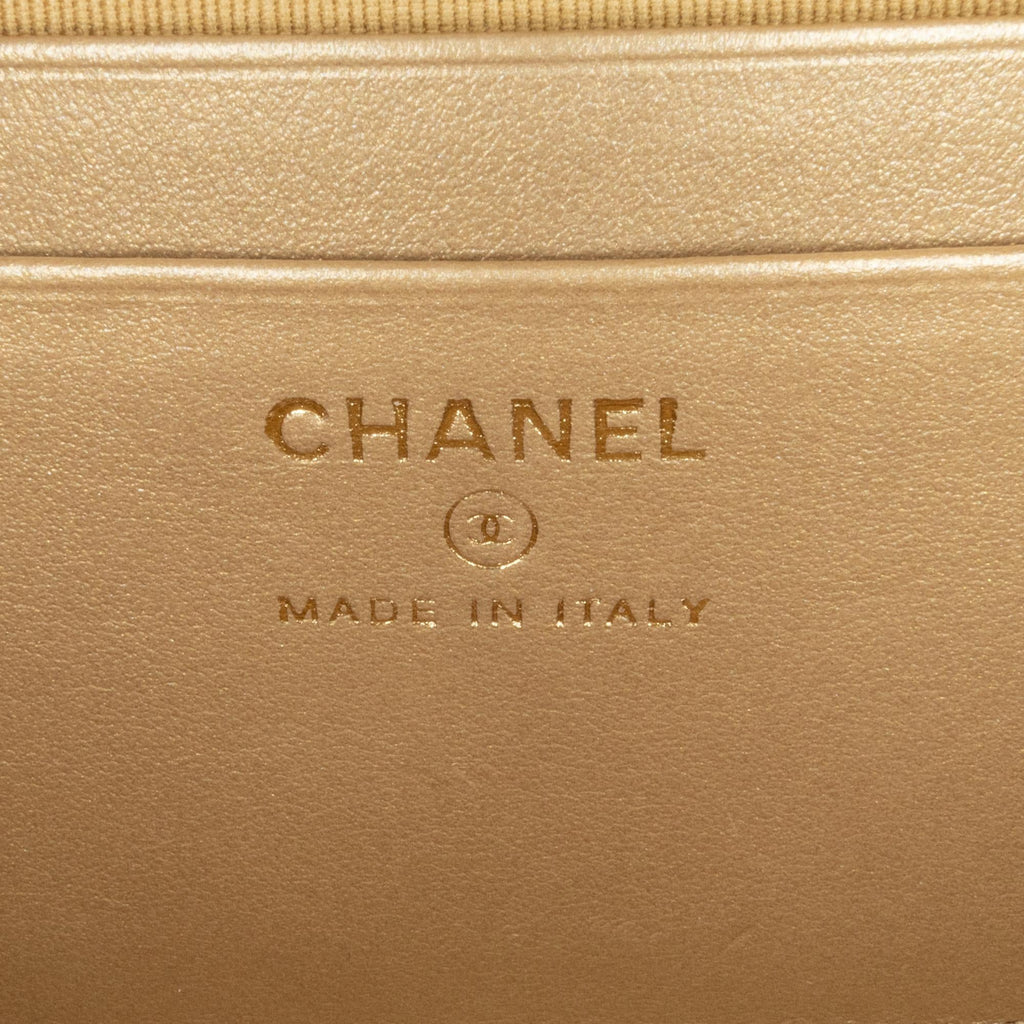 Chanel CC Quilted Lambskin Pearl Crush Camera Bag