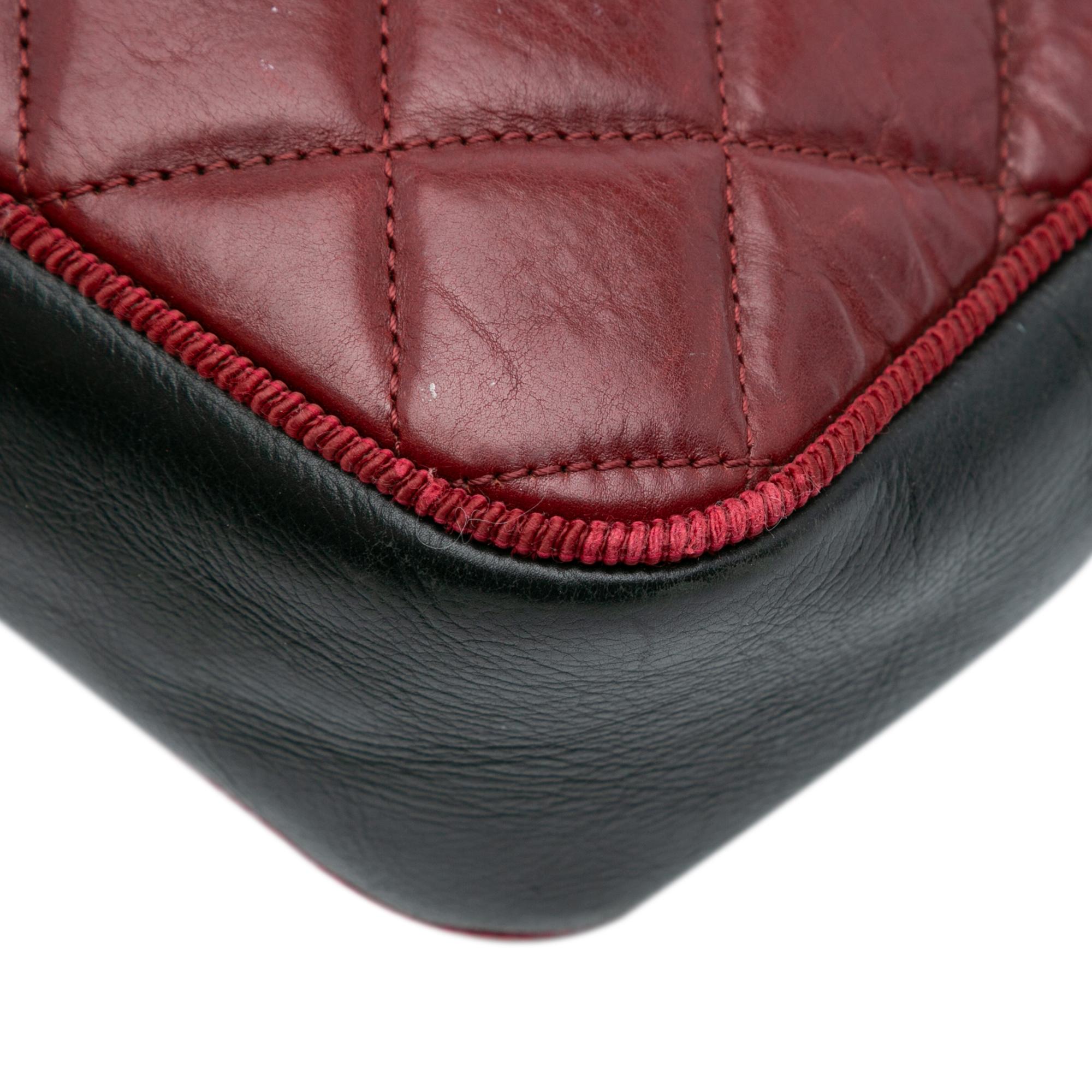 Chanel Small Bicolor Quilted Calfskin Ballerine Camera Bag