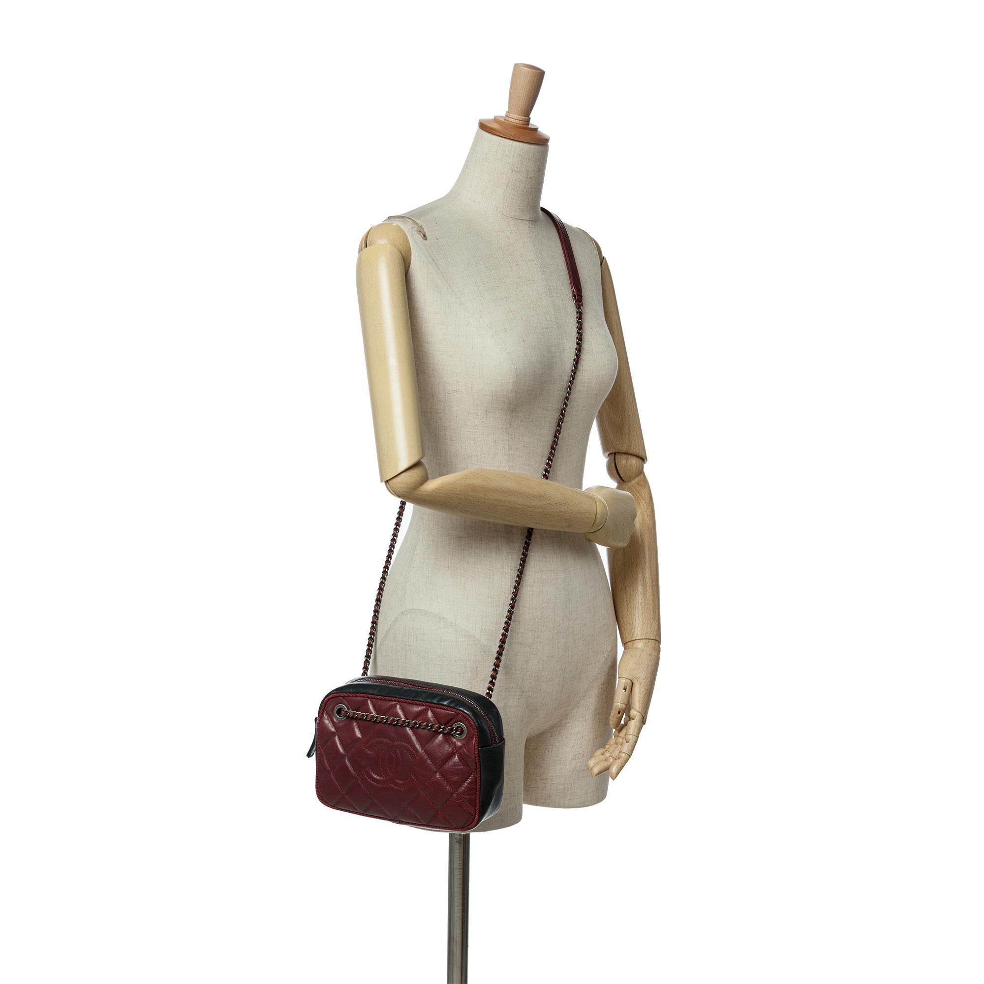 Chanel Small Bicolor Quilted Calfskin Ballerine Camera Bag