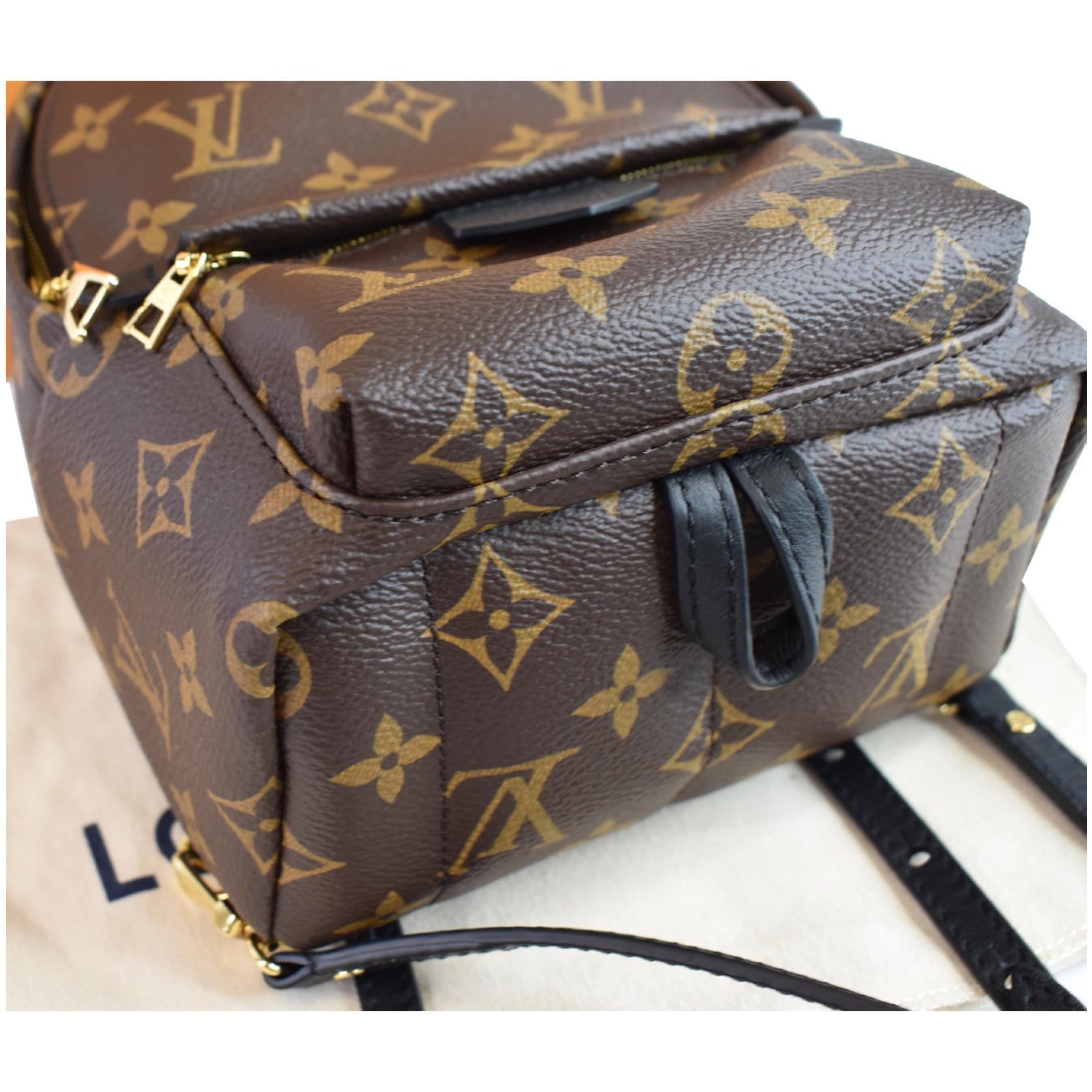 LOUIS VUITTON  Palm Springs Mini Monogram Canvas Backpack Brown