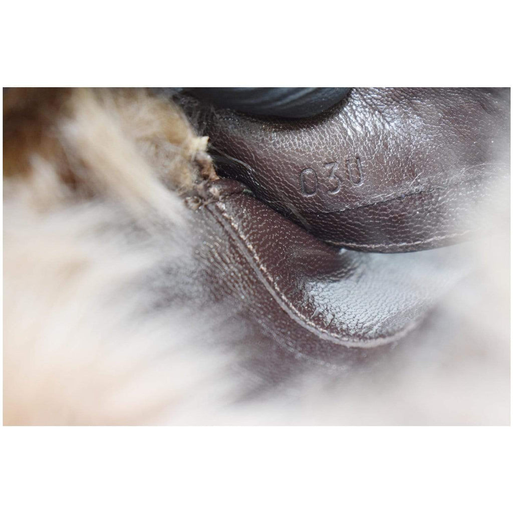 GUCCI Princetown Fur Leather Slipper Cocoa Brown US 7 - 25% OFF