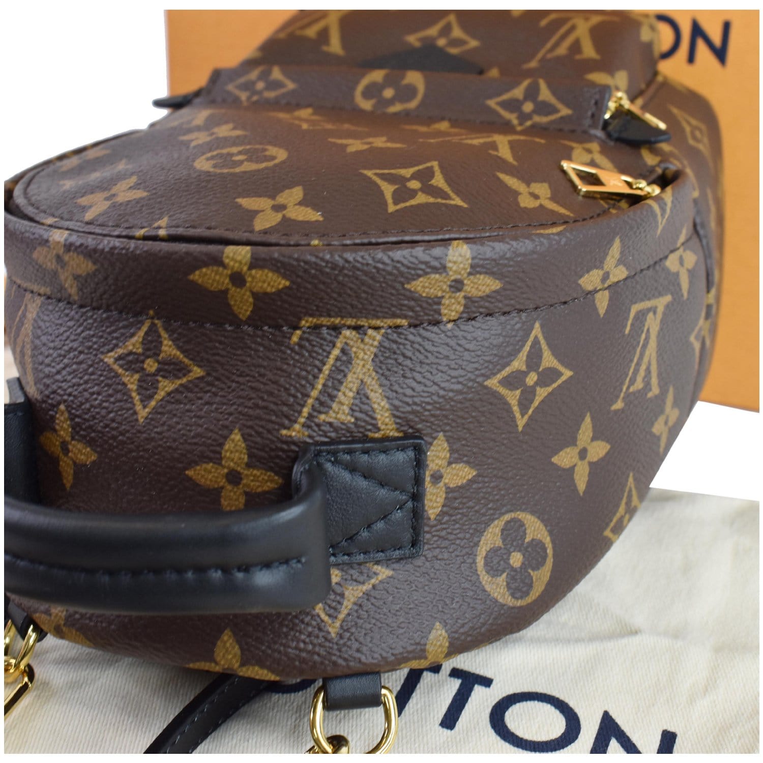 LOUIS VUITTON  Palm Springs Mini Monogram Canvas Backpack Brown