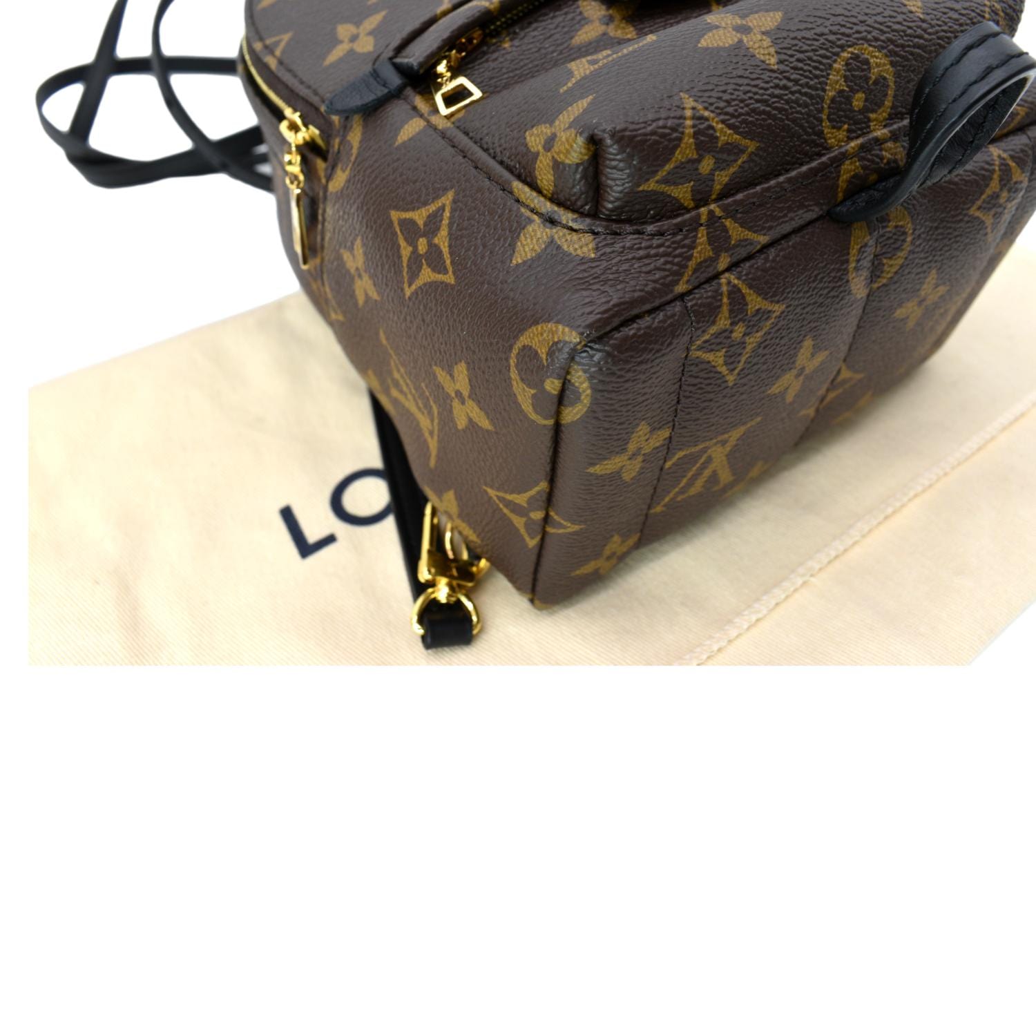 LOUIS VUITTON Palm Springs Mini Monogram Canvas Backpack Brown
