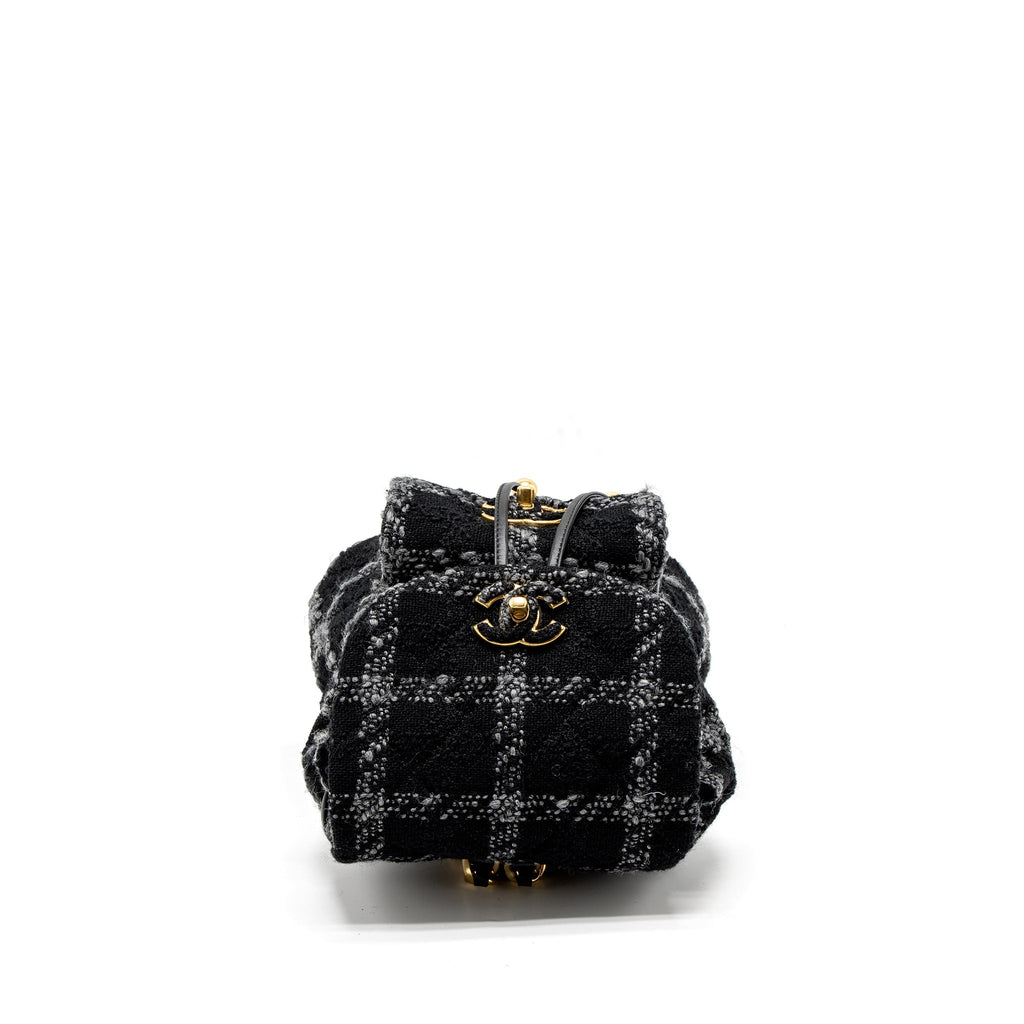 Chanel Duma Backpack Tweed Multicoloured Brushed  (Microchip)