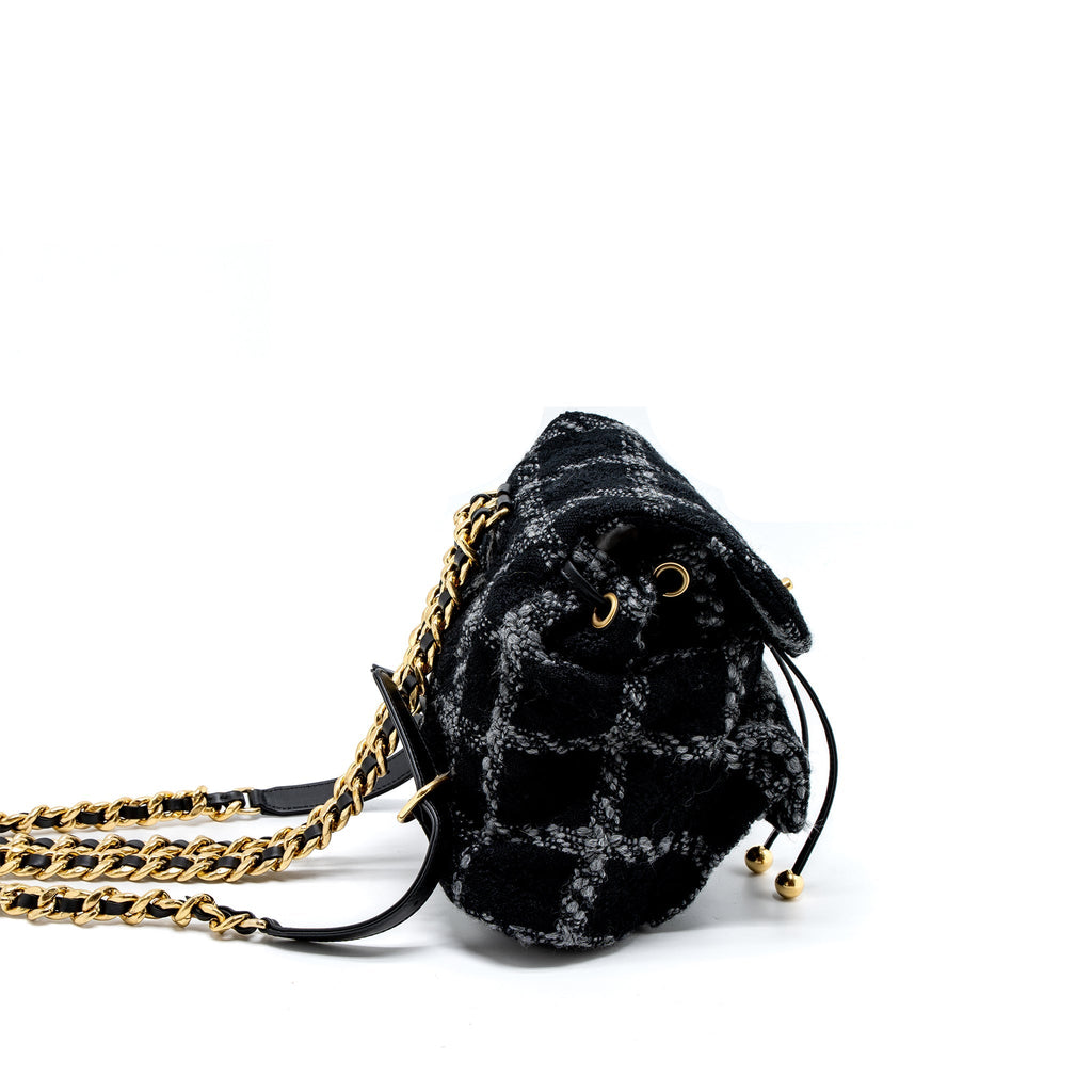 Chanel Duma Backpack Tweed Multicoloured Brushed  (Microchip)
