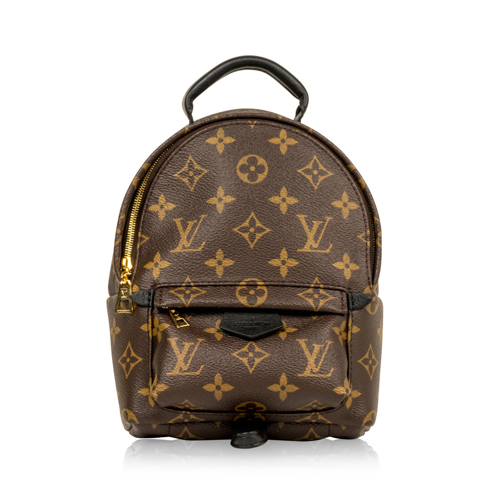 Louis Vuitton Palm Springs Backpack Mini