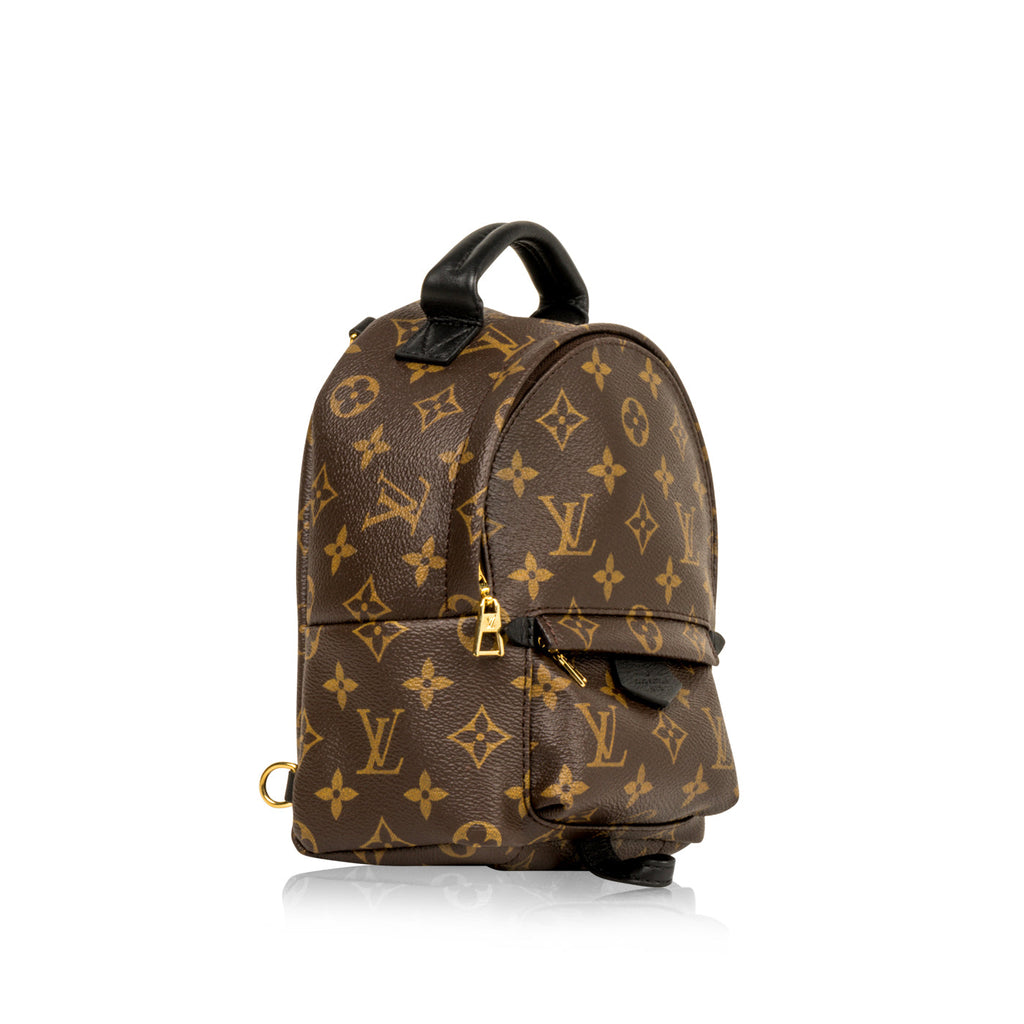 Louis Vuitton Palm Springs Backpack Mini