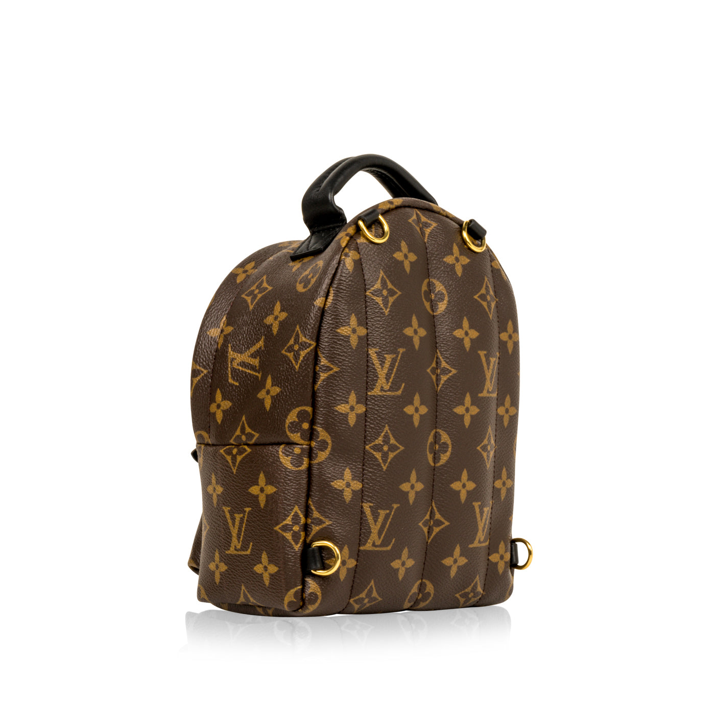 Louis Vuitton Palm Springs Backpack Mini