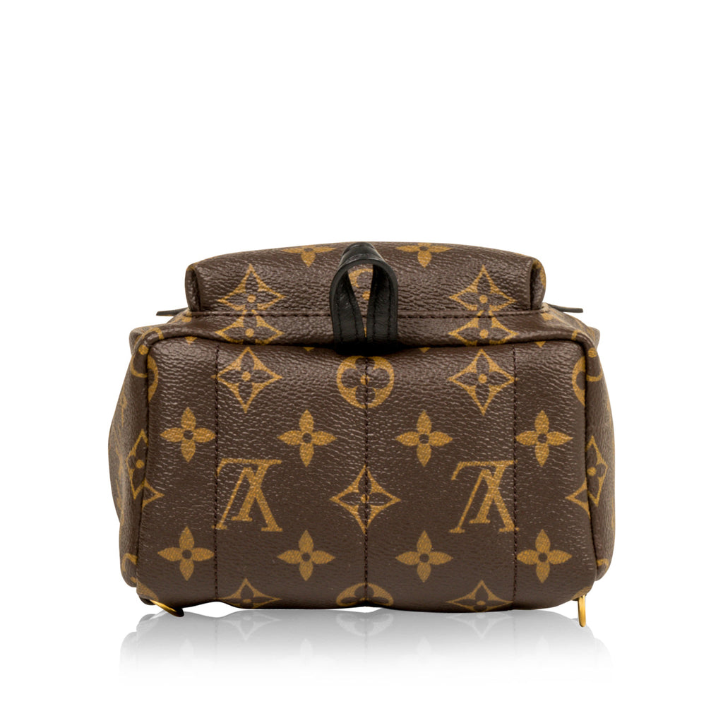 Louis Vuitton Palm Springs Backpack Mini