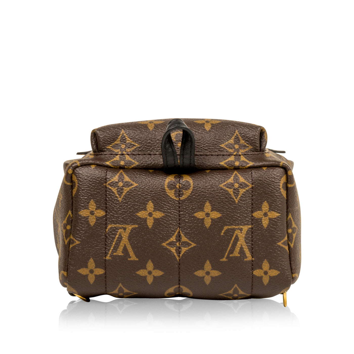 Louis Vuitton Palm Springs Backpack Mini
