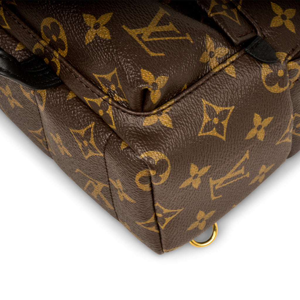 Louis Vuitton Palm Springs Backpack Mini