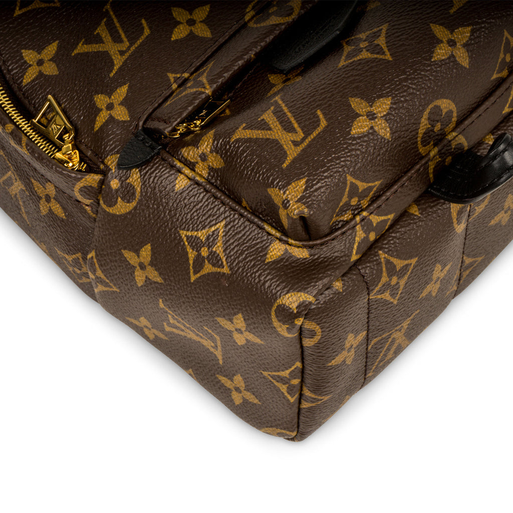 Louis Vuitton Palm Springs Backpack Mini