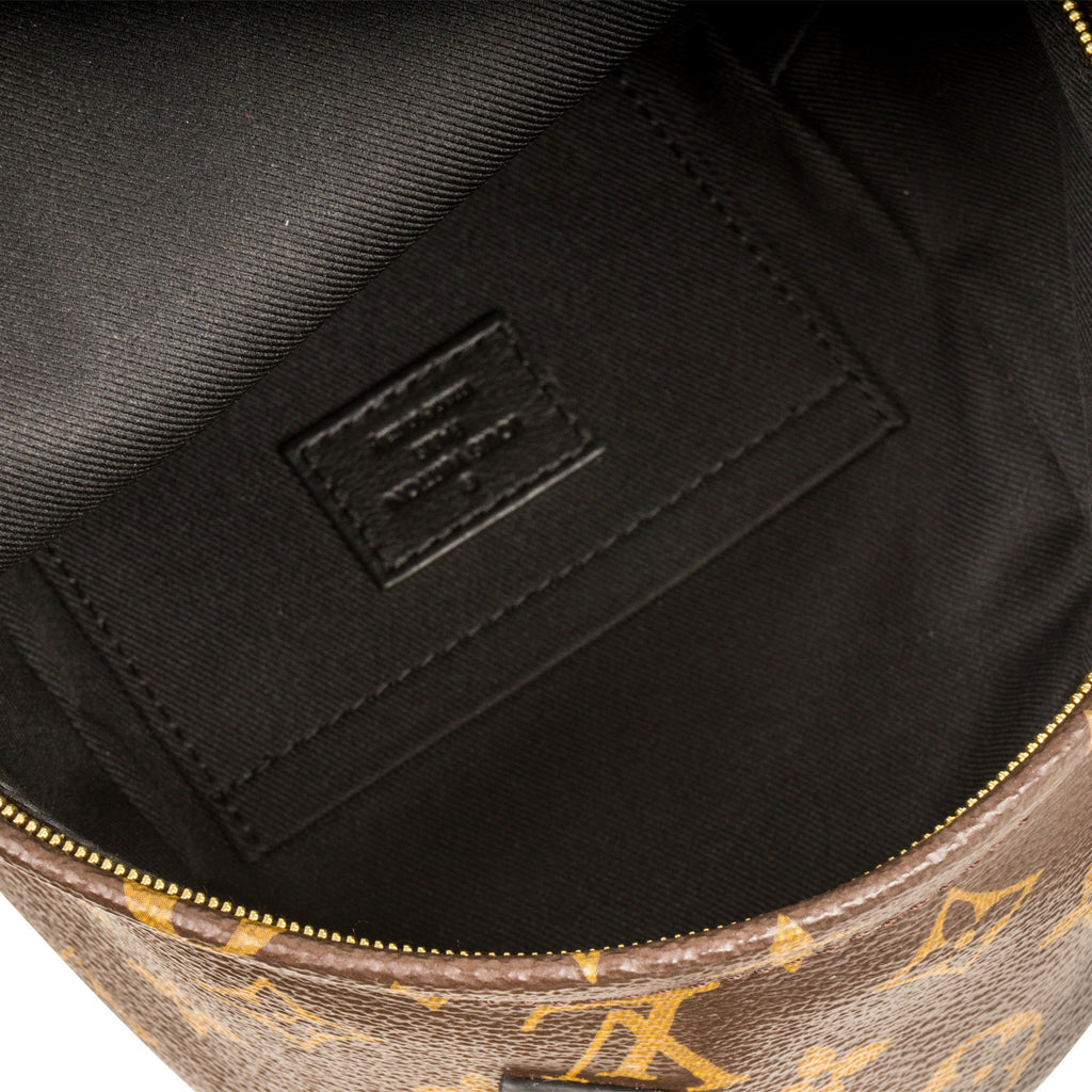 Louis Vuitton Palm Springs Backpack Mini