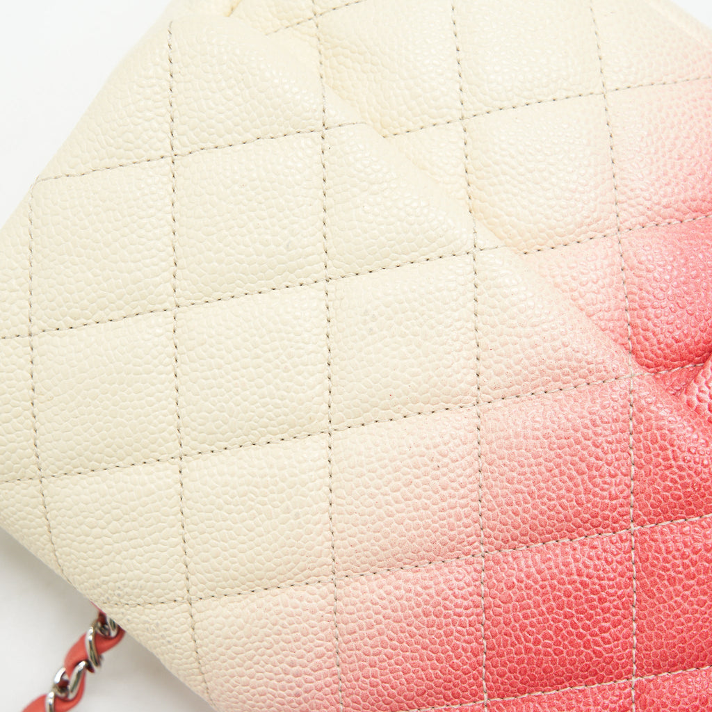 CHANEL Multi Color Caviar Large Flap Bag with
