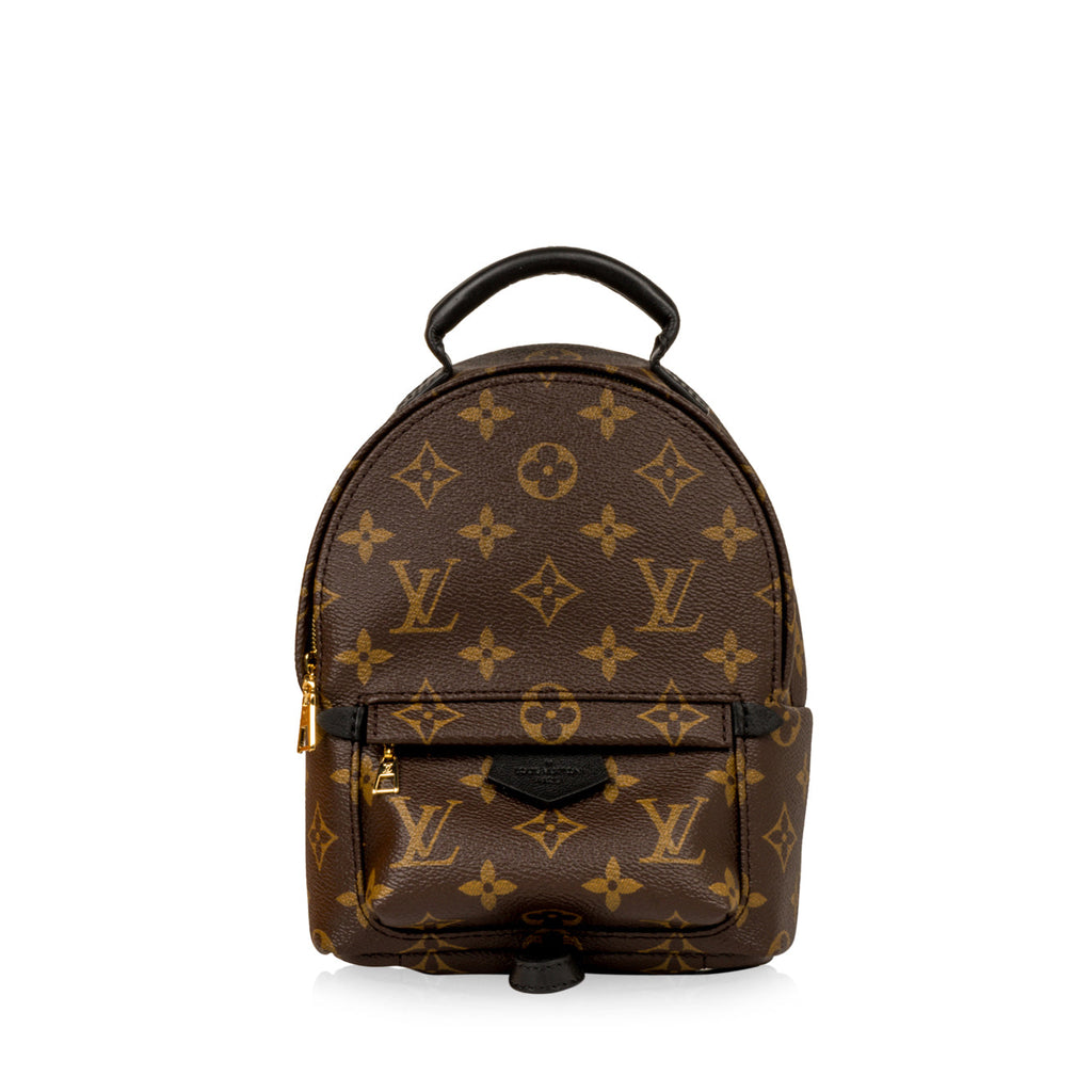 Louis Vuitton Palm Springs Backpack Mini - Monogram Canvas