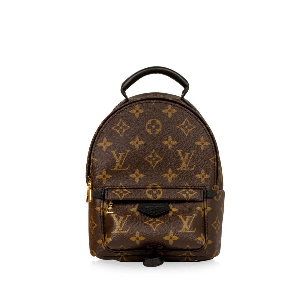 Louis Vuitton Palm Springs Backpack Mini