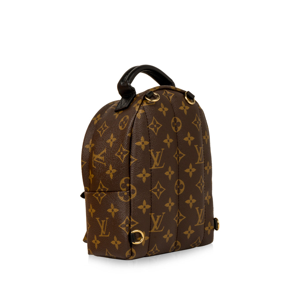 Louis Vuitton Palm Springs Backpack Mini