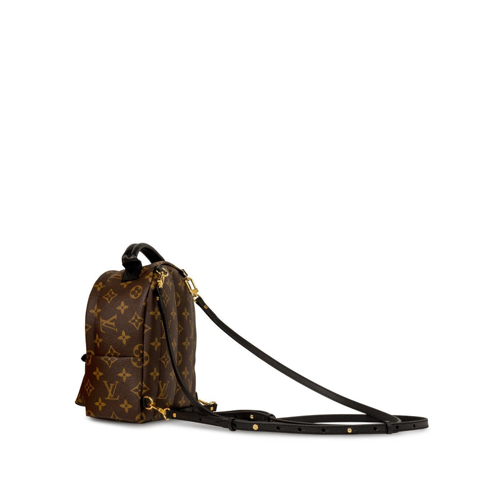 Louis Vuitton Palm Springs Backpack Mini