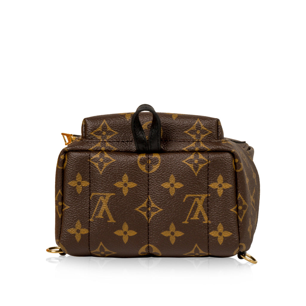 Louis Vuitton Palm Springs Backpack - Mini