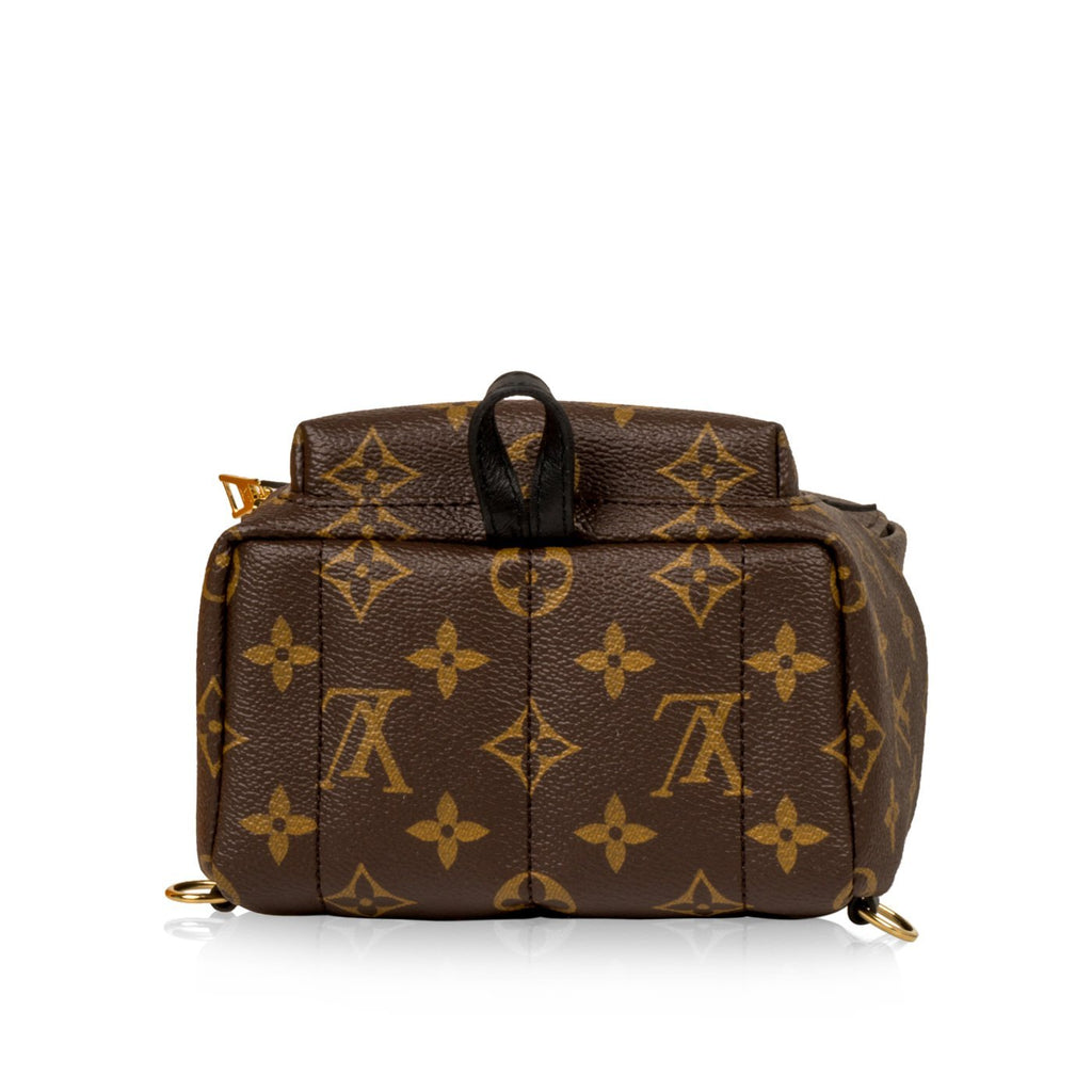Louis Vuitton Palm Springs Backpack Mini
