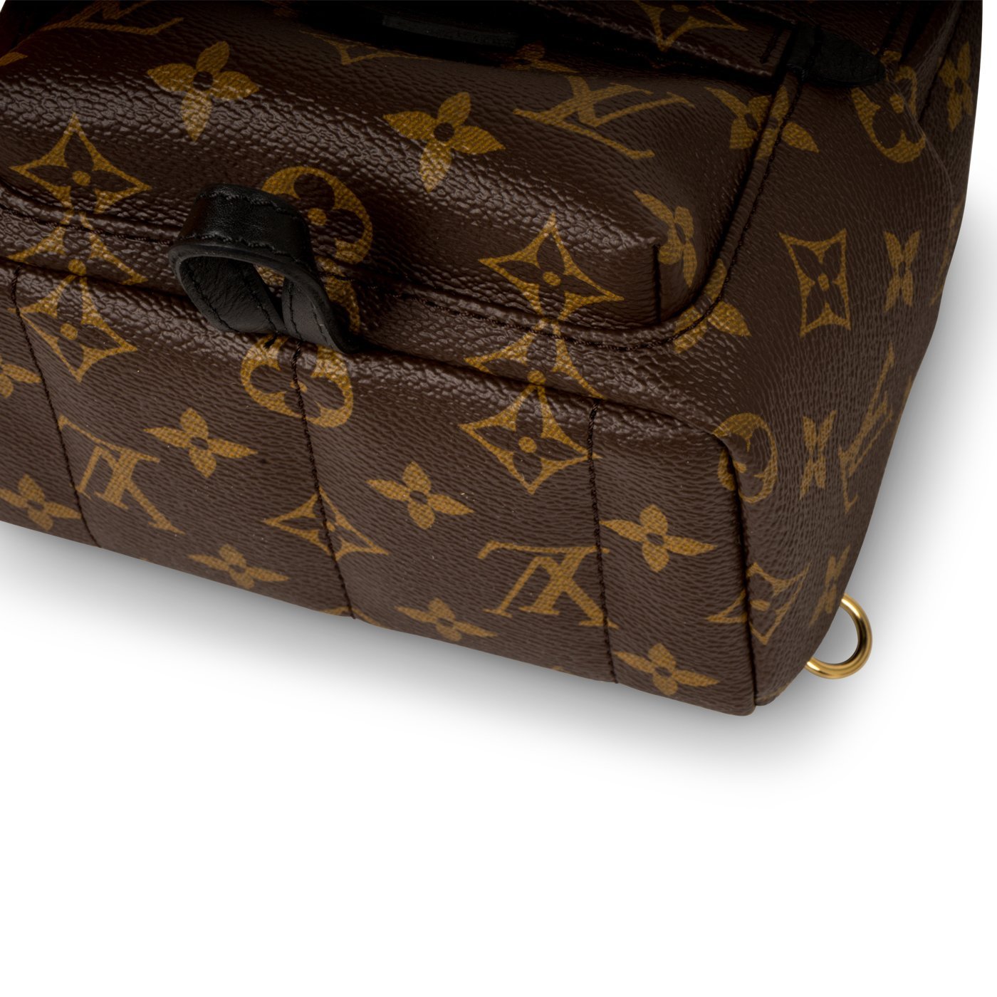 Louis Vuitton Palm Springs Backpack Mini