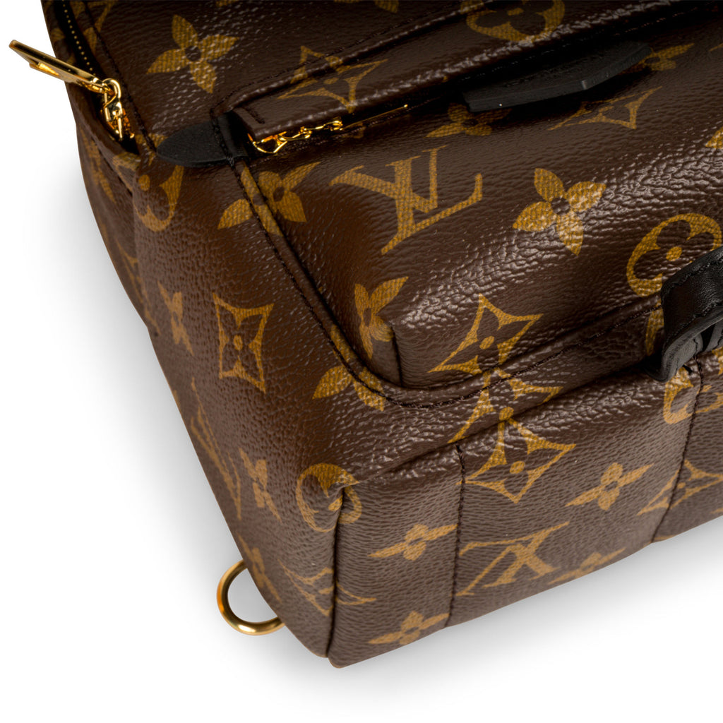 Louis Vuitton Palm Springs Backpack - Mini