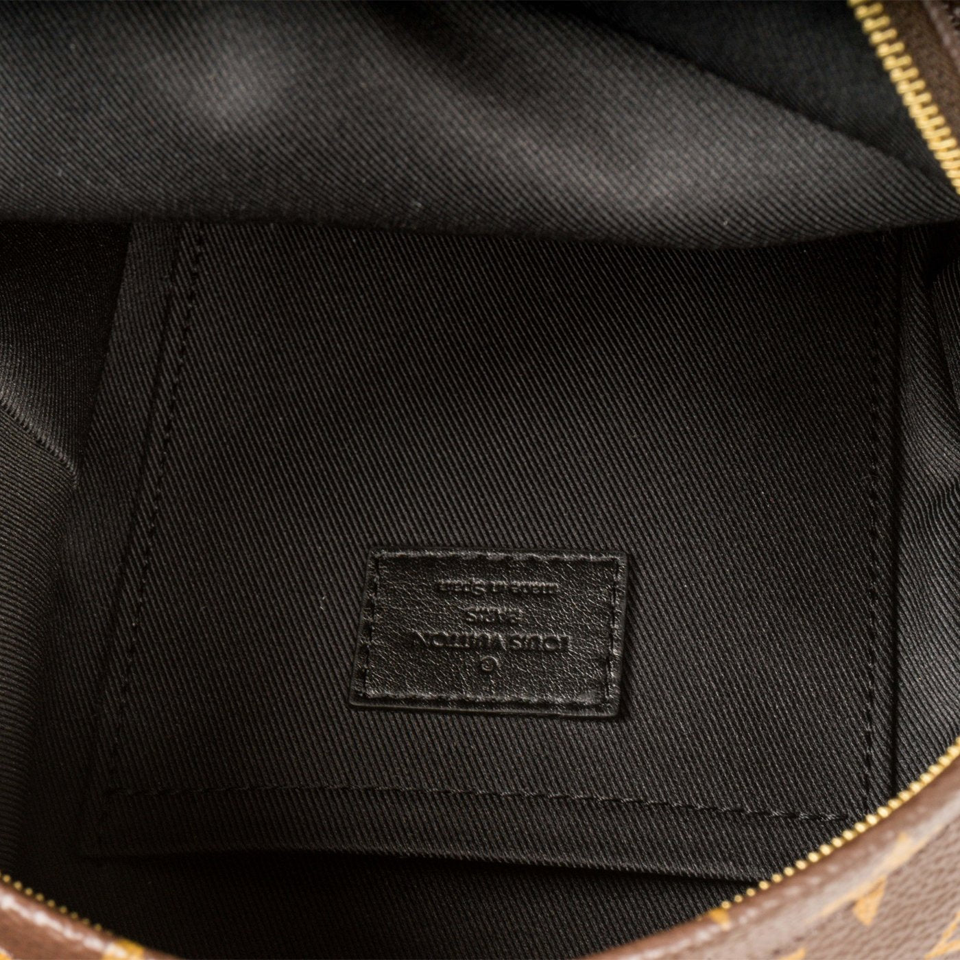 Louis Vuitton Palm Springs Backpack Mini