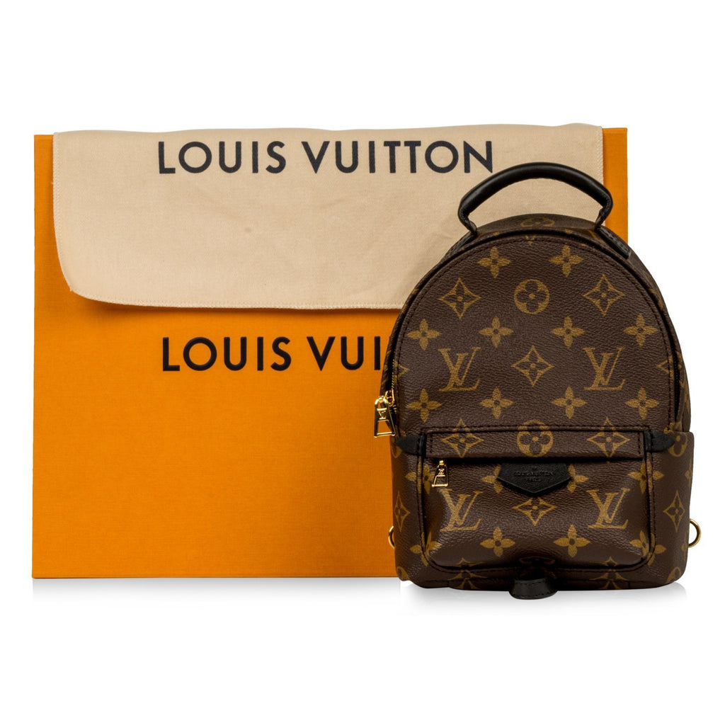 Louis Vuitton Palm Springs Backpack Mini