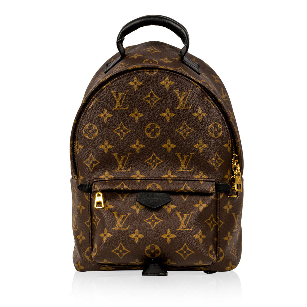 Louis Vuitton Palm Springs Backpack PM