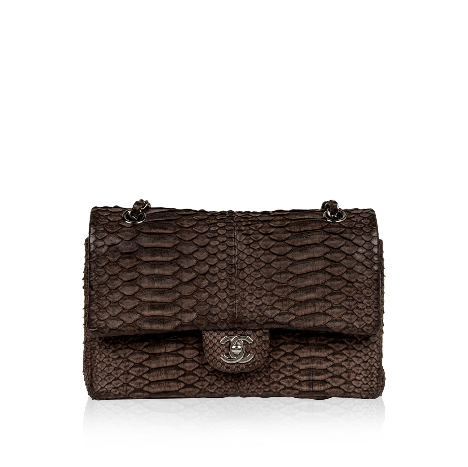 Chanel Classic Flap Bag - Python