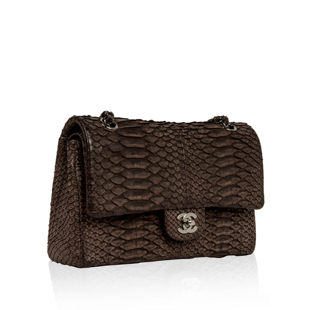 Chanel Classic Flap Bag - Python
