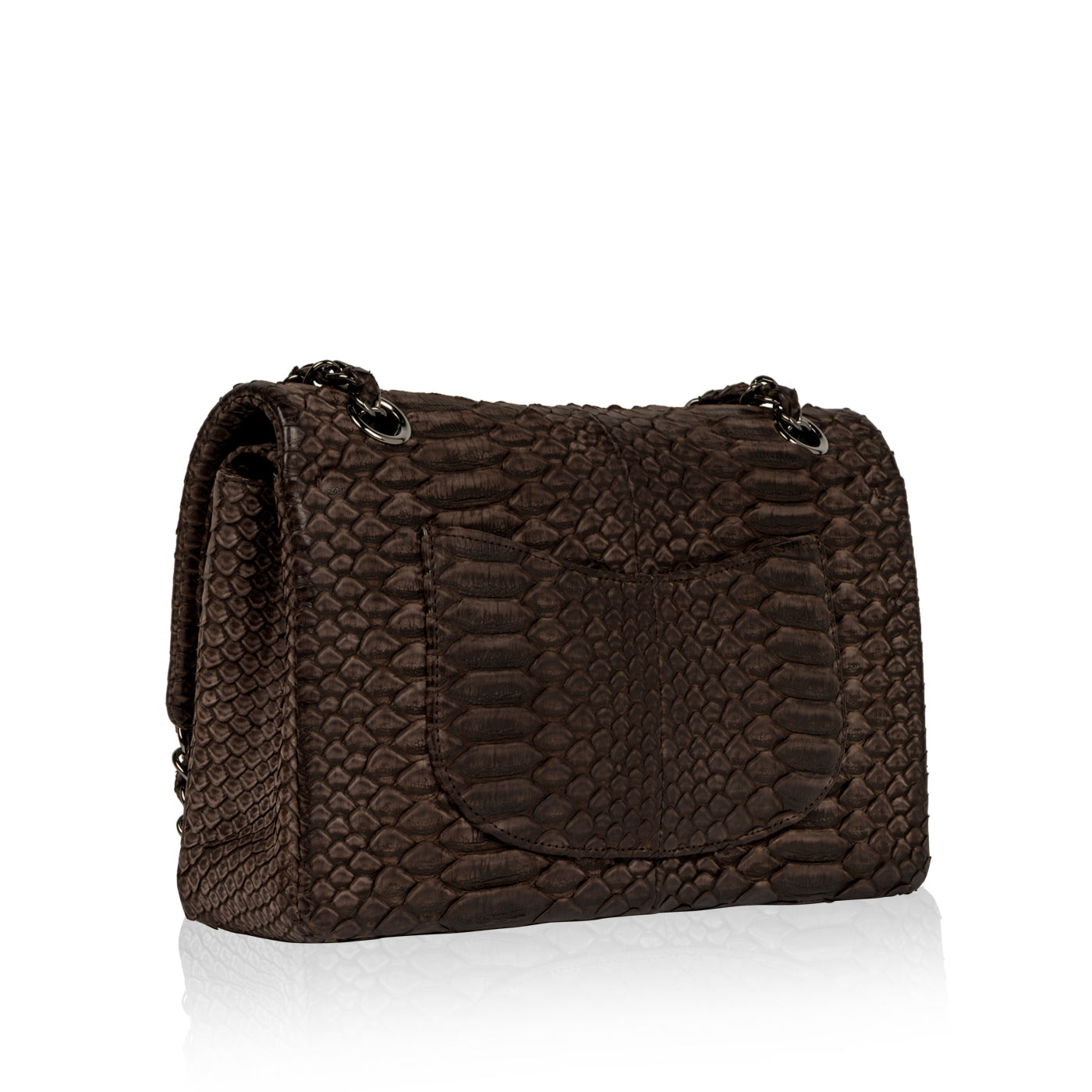 Chanel Classic Flap Bag - Python