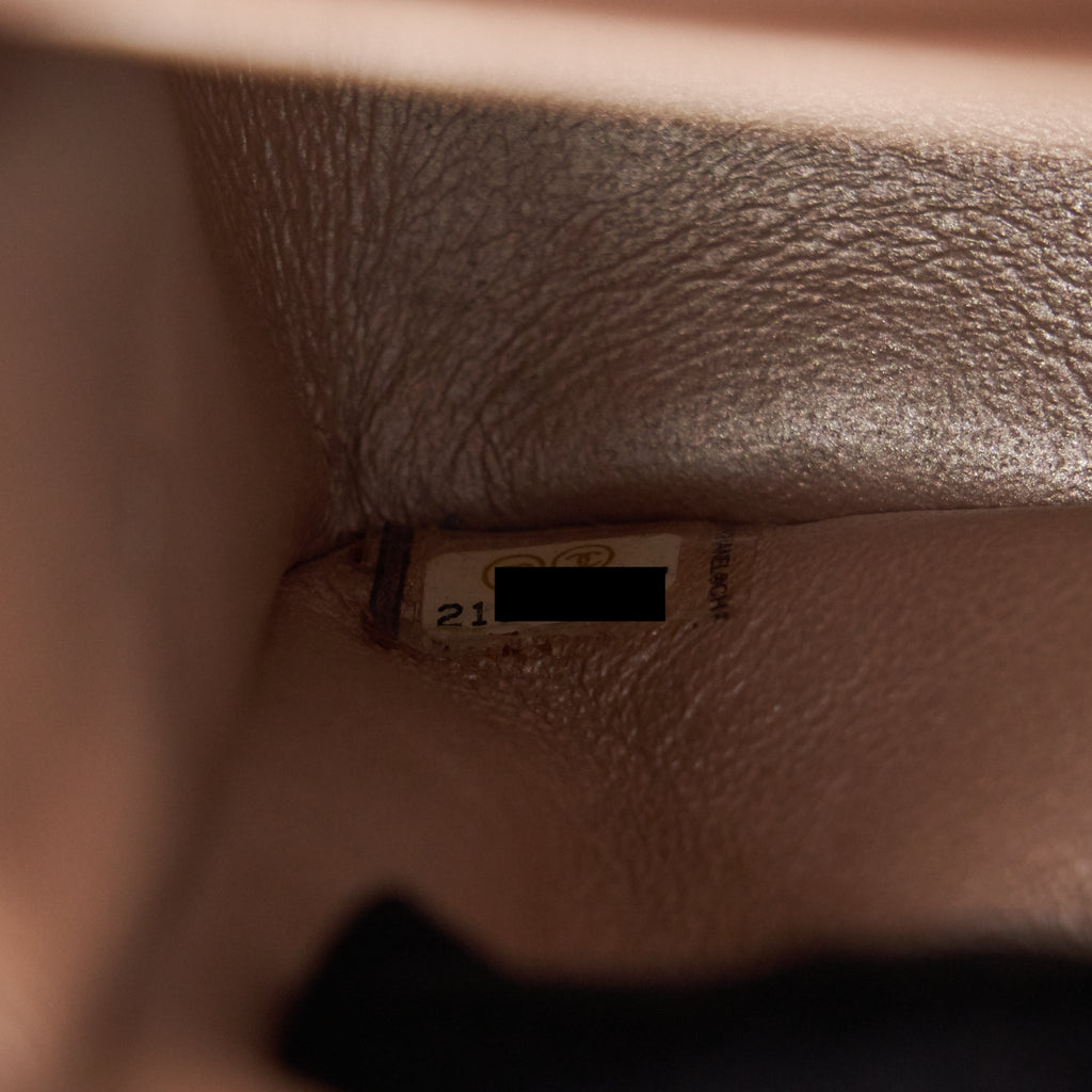 CHANEL SEASONAL MEDIUM FLAP BAG IN CHAMPAGNE PINK