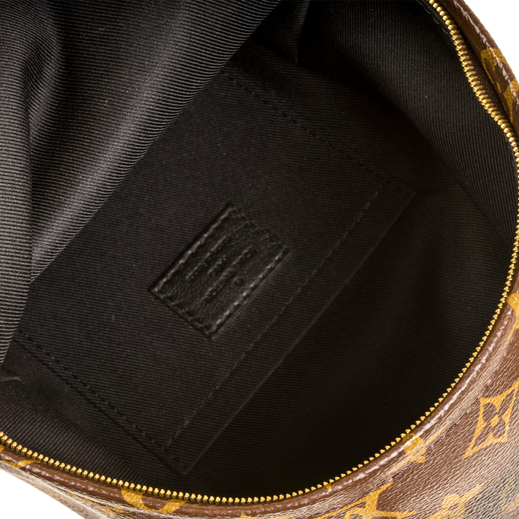 Louis Vuitton Palm Springs Backpack Mini