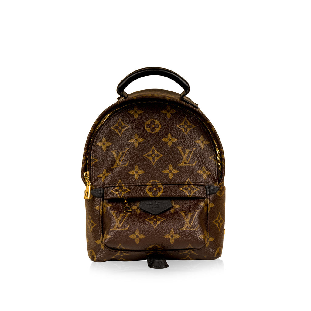 Louis Vuitton Palm Springs Backpack Mini