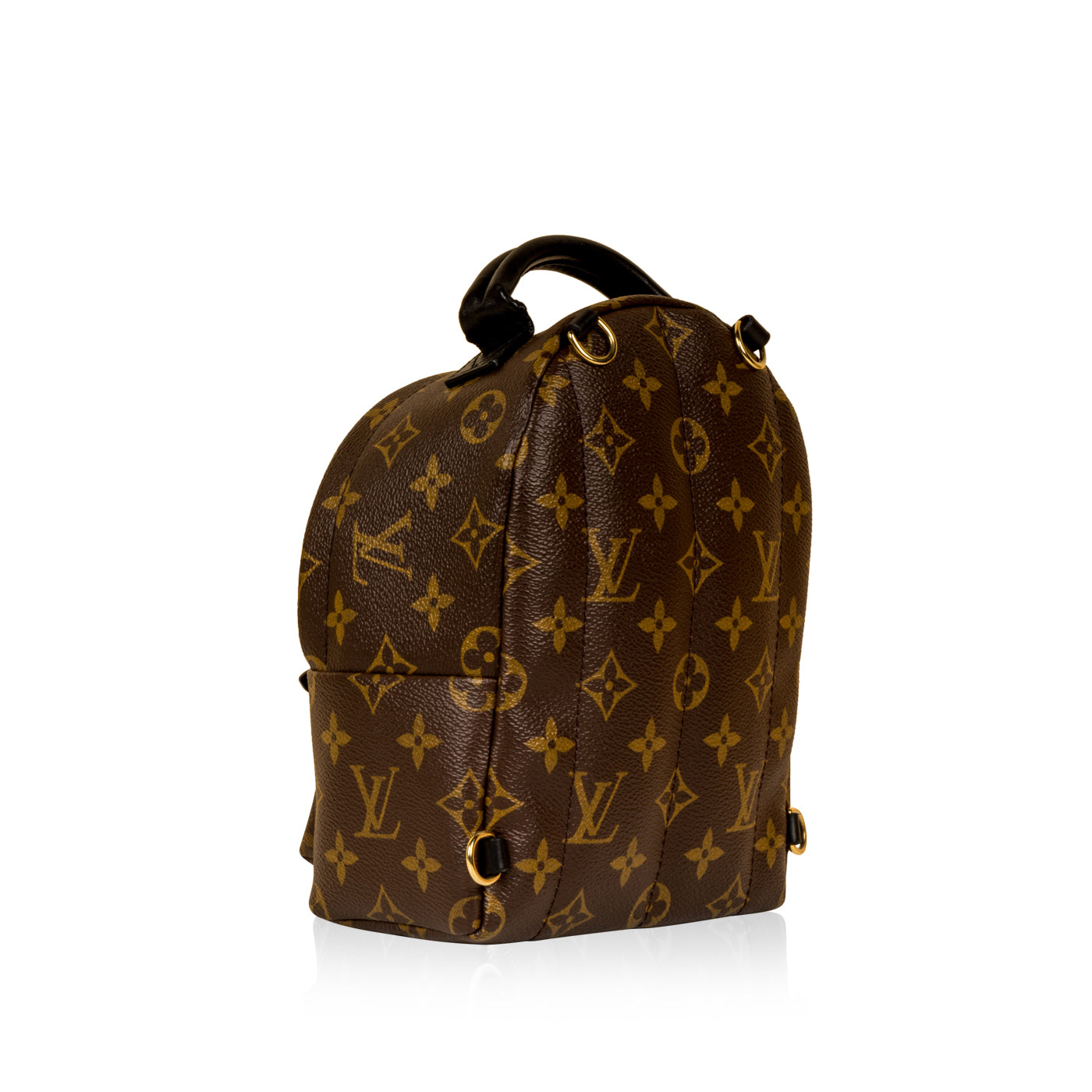 Louis Vuitton Palm Springs Backpack Mini