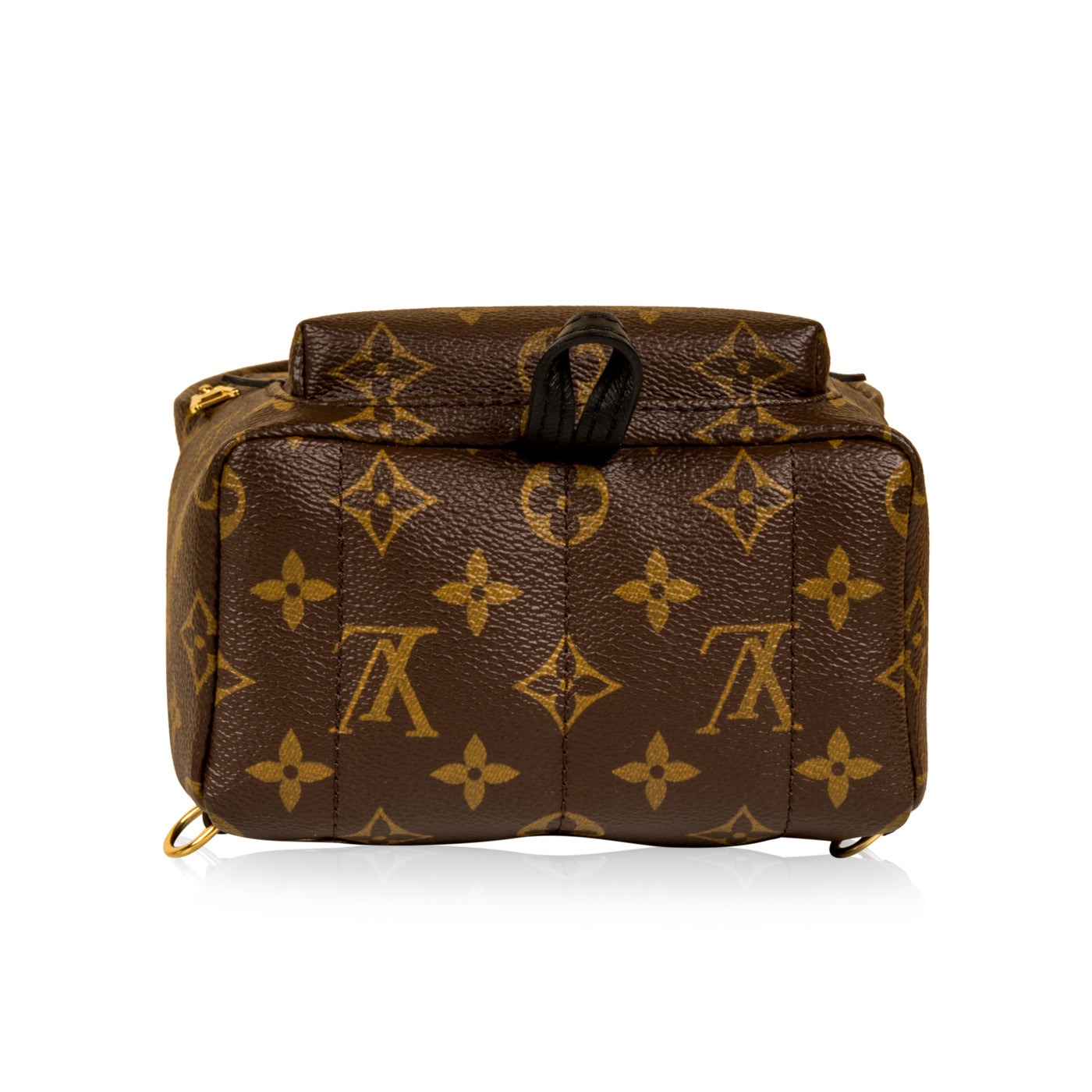 Louis Vuitton Palm Springs Backpack Mini