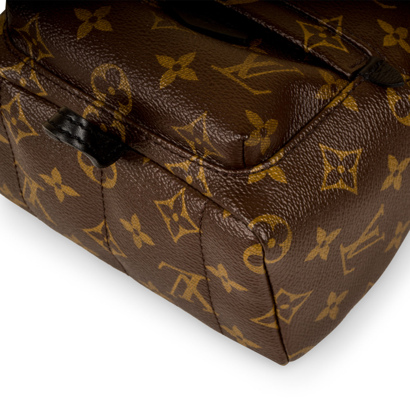 Louis Vuitton Palm Springs Backpack Mini