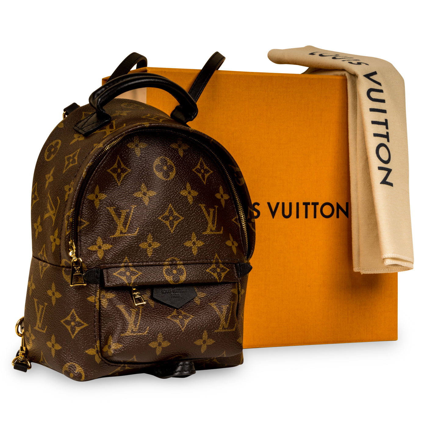 Louis Vuitton Palm Springs Backpack Mini
