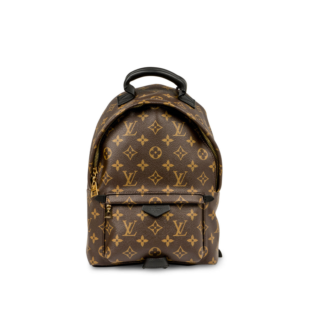 Louis Vuitton Palm Springs Backpack PM