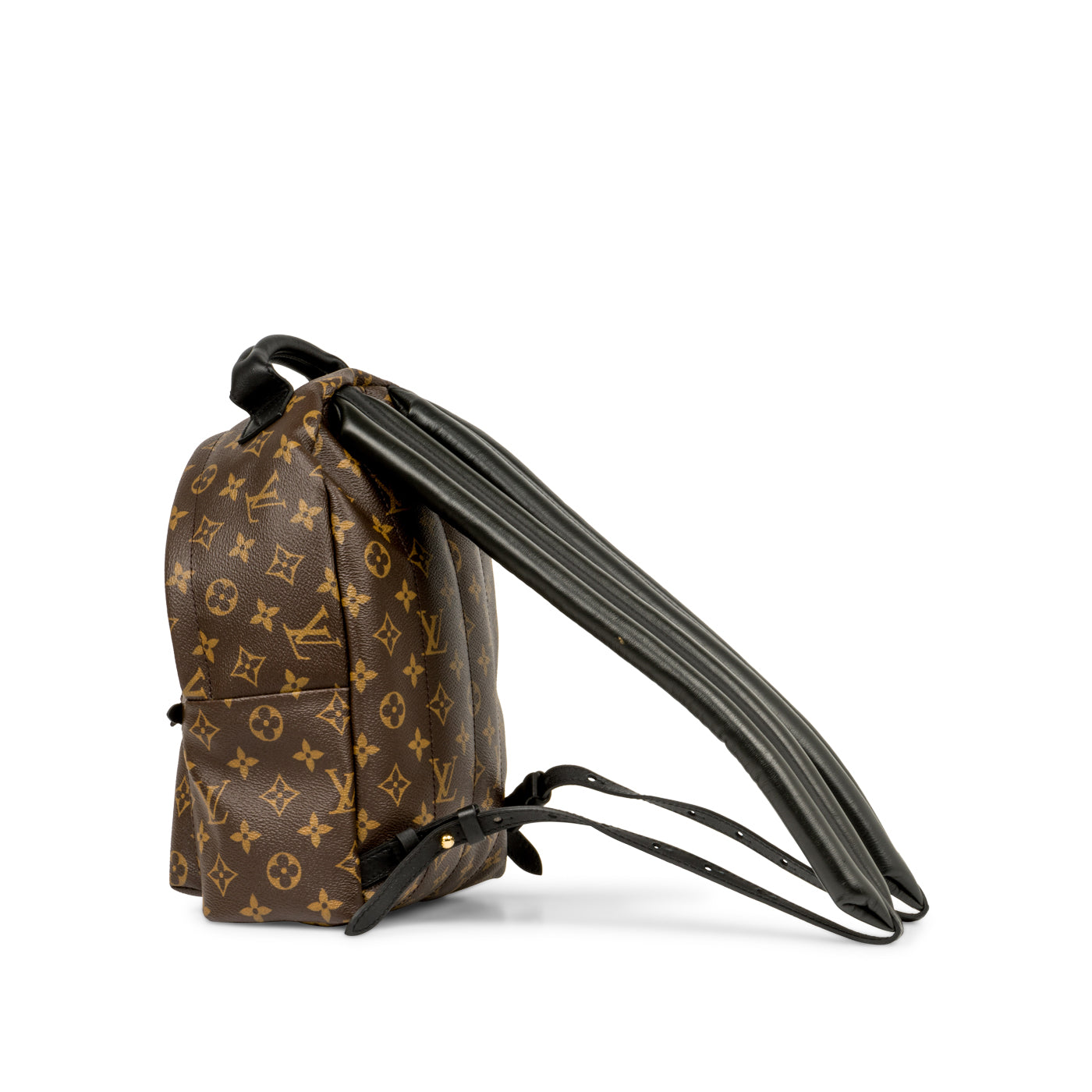 Louis Vuitton Palm Springs Backpack PM
