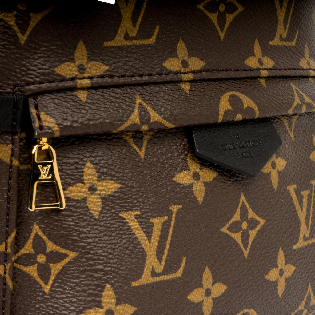 Louis Vuitton Palm Springs Backpack PM