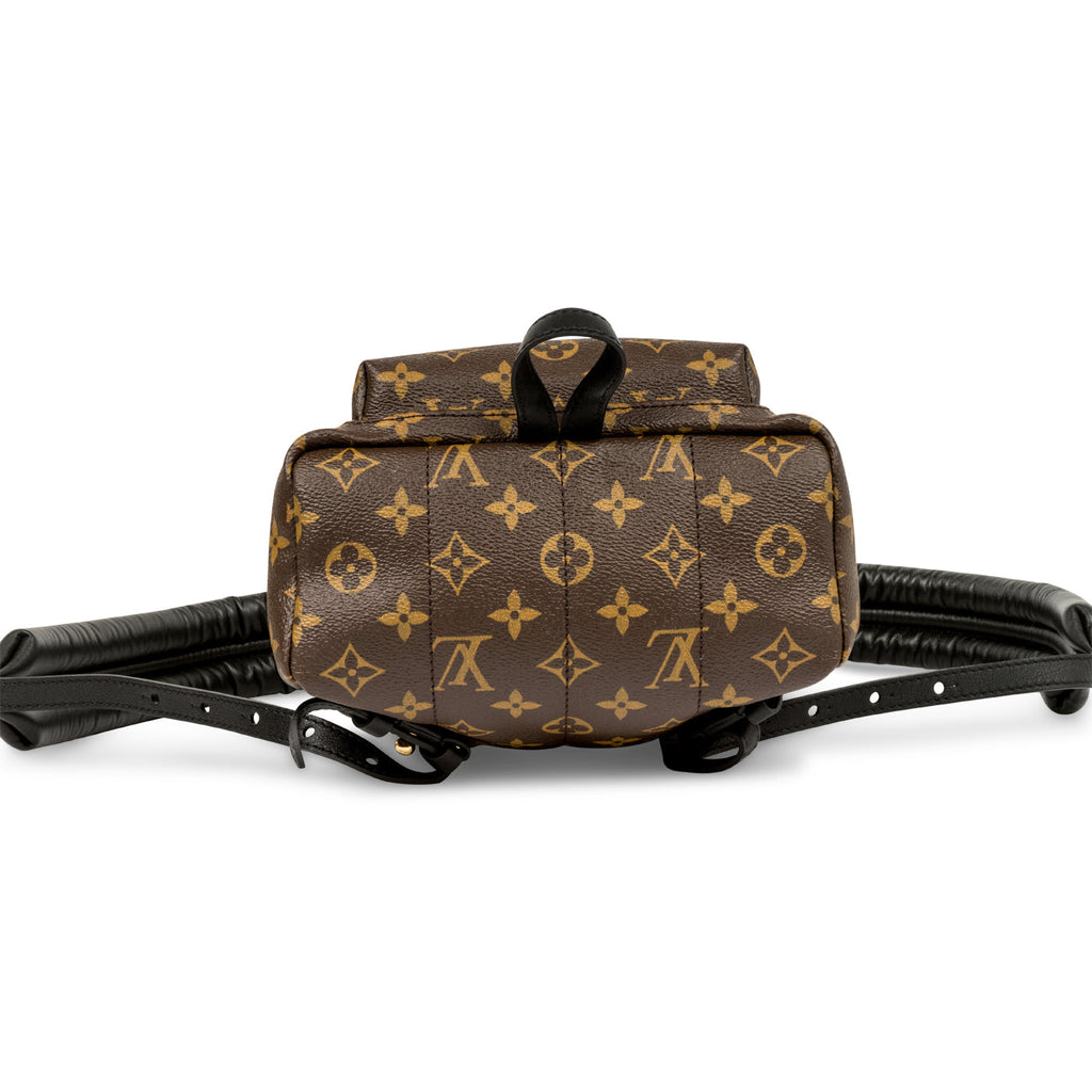 Louis Vuitton Palm Springs Backpack PM