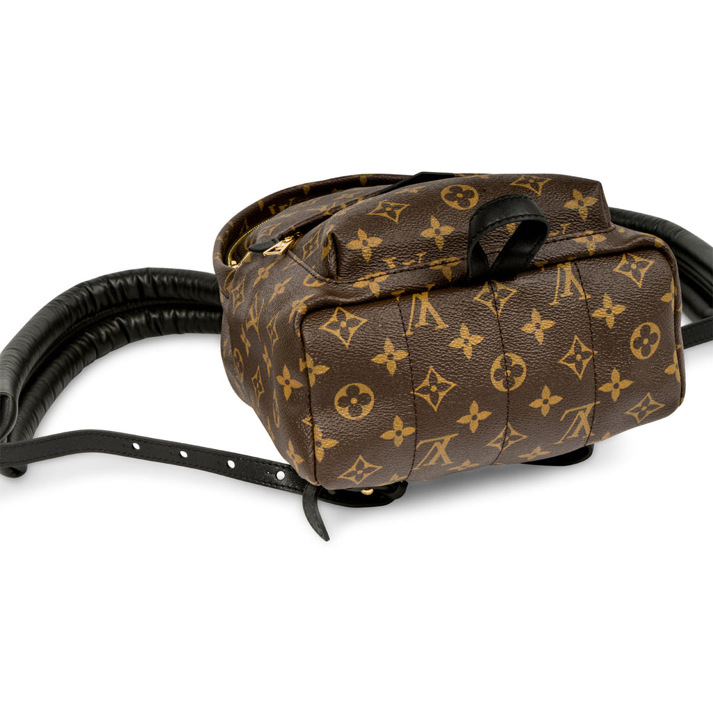 Louis Vuitton Palm Springs Backpack PM